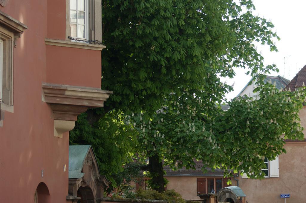 Quai 17 Maison D'Hotes Strasbourg Luaran gambar