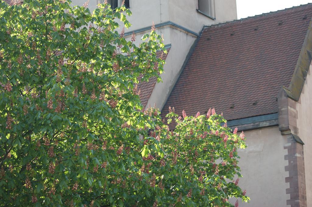 Quai 17 Maison D'Hotes Strasbourg Luaran gambar