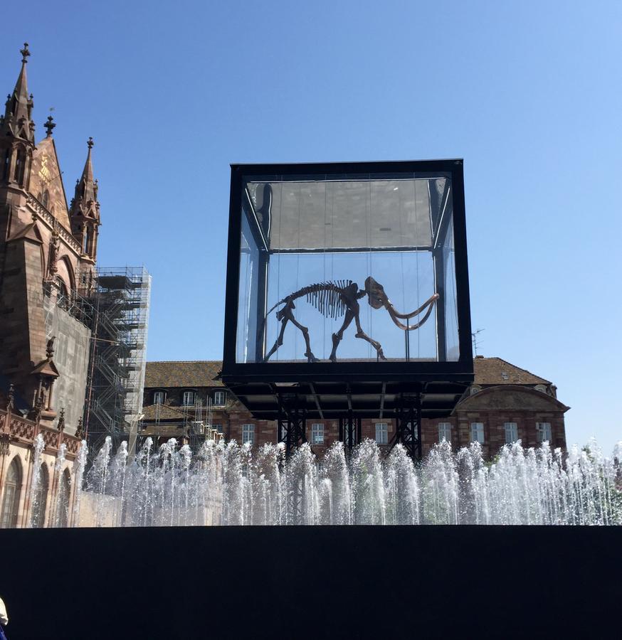 Quai 17 Maison D'Hotes Strasbourg Luaran gambar